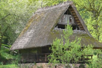 Reetdachhaus im Schwarzwald