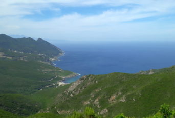 Korsika-Gruene-Berge-und-Meer-Panorama