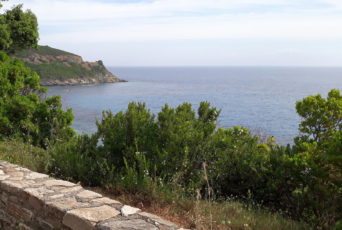 Korsika-Kuestenvorsprung