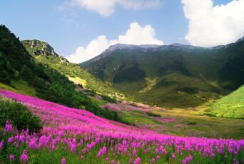 Karpaten-Hohe-Tatra